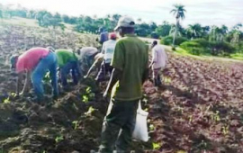 Campesinos de estructura sanluisera apuestan por la vinculación del hombre al área