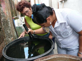 Bajo control epidemiológico el virus Oropuche