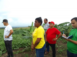 Supervisan máximas autoridades de Santiago de Cuba, producción de alimentos en el municipio Palma Soriano