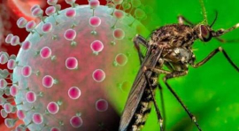 Situación epidemiológica: Responsabilidad de todos