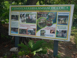 Por un entorno protegido y natural
