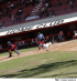 Picando a los toros