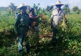 Priorizan en San Luis uso de medios biológicos y prácticas agroecológicas