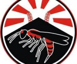 Clasificar a postemporada de béisbol, prioridad para las Avispas