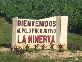 Si el hombre sirve, la tierra también