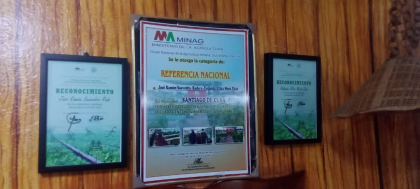 Los muchos frutos de "Sembrando en mi cuadra"