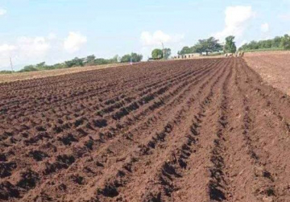 Fitosanitarios sanluiseros buscan alternativas para mejorar resultados de la agricultura local