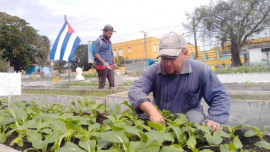 Un programa que avanza, pero aún tiene mucho que aportar