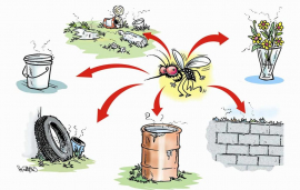 El mayor peligro es el dengue