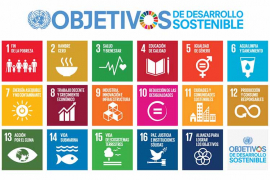 Objetivos de Desarrollo Sostenible están en peligro, alerta ONU