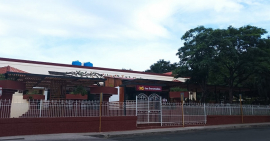 Palmares en el corazón de Enramadas