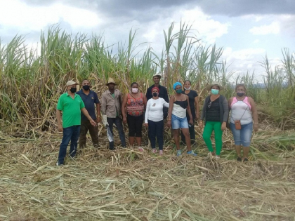 Desde la CPA Sabido Pupo: Rendimientos cañeros, producción de alimentos y rentabilidad a debate