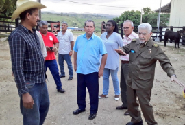 Resultados del empeño en El Alambre y Alcázar