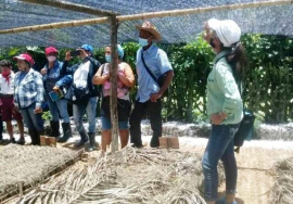 Movimiento Agroecológico en San Luis muestra resultados favorables