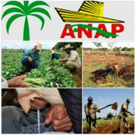 La ANAP impulsa el desarrollo productivo y social en Guamá