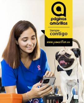 Novedades de las Páginas Amarillas