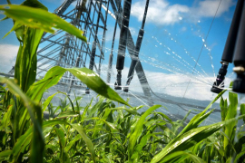 Utilizan en Holguín ciencia e innovación en la agricultura