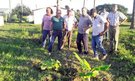 Segundo Frente crece