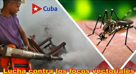 Sindicatos sanluiseros promueven acciones ante altos índices de infestación de mosquitos