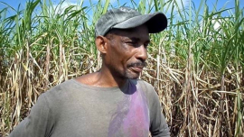 Por una zafra superior laboran en cooperativa sanluisera