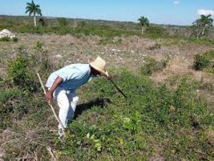 Sanluiseros realizarán diversas acciones durante la Semana de reducción de riesgos de desastres
