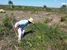 Sanluiseros realizarán diversas acciones durante la Semana de reducción de riesgos de desastres