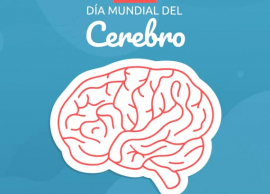 Salud cerebral, para todas las edades