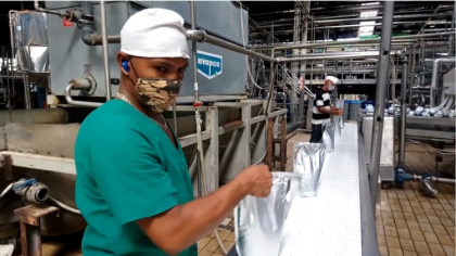 Sector agrícola santiaguero suma tantos a las exportaciones