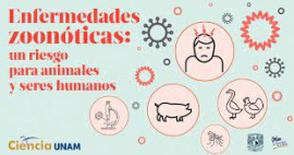 Pondera Cuba iniciativa francesa sobre enfermedades zoonóticas