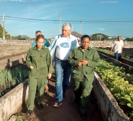 Presidente de Cuba chequea recuperación de daños de huracán