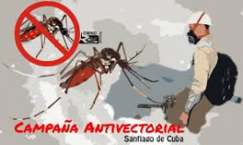 Pequeñas picaduras, grandes consecuencias
