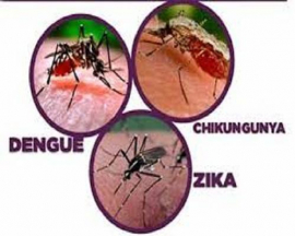 Alertan ante alza de arbovirosis y enfermedades digestivas
