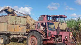Los millonarios de Chaveco