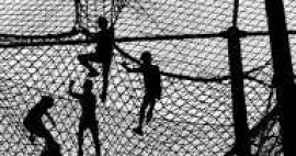 Enredadores y enredados en las redes