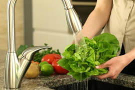 Atentos a enfermedades prevenibles