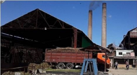 Inició la zafra en el Dos Ríos