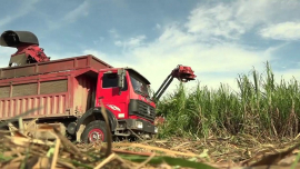 Exhibe la carrera de agronomía proyectos para el desarrollo de la provincia