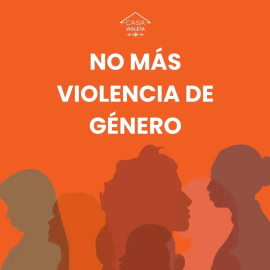 Santiago unido y ocupado contra la violencia de género