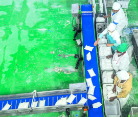 El ejercicio de fiscalización a la Industria alimentaria incluyó 491 entidades