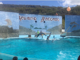 Instalaciones de Flora y Fauna abren sus puertas al verano