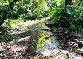 Empresa Flora y Fauna de provincia de Cuba, ejemplo de integración