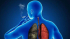 La historia que el cáncer quiso callar