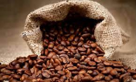 Contribuyen innovadores santiagueros al procesamiento del café