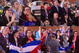 Cuba valora inscripción de saberes de maestros roneros en patrimonio