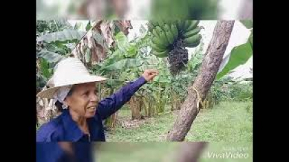 La mujer maravilla está en la Finca Agroecológica El Arroyito