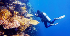 Inician prácticas de buceo en Primera Escuela Iberoamericana de enseñanza submarina