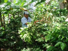 Un llamado a la acción a los cafetaleros de Segundo Frente