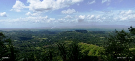 Aseguran cosecha cafetalera en macizo montañoso de San Luis