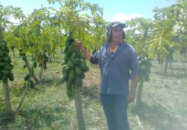 Campesino sanluisero prioriza uso de prácticas agroecológicas