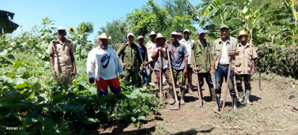 Carlos Manuel Orue Isacc, un campesino sanluisero digno de imitar